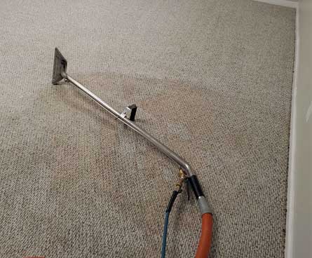 manly-carpet-cleaning